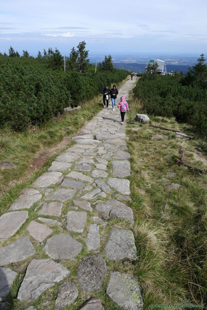 Ścieżka ze Schroniska na Szrenicy do wyciągu