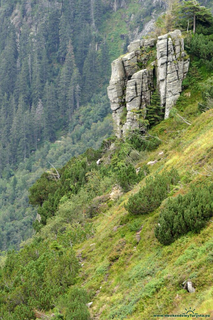 Szlaki w czeskich Karkonoszach - Dolina Łaby