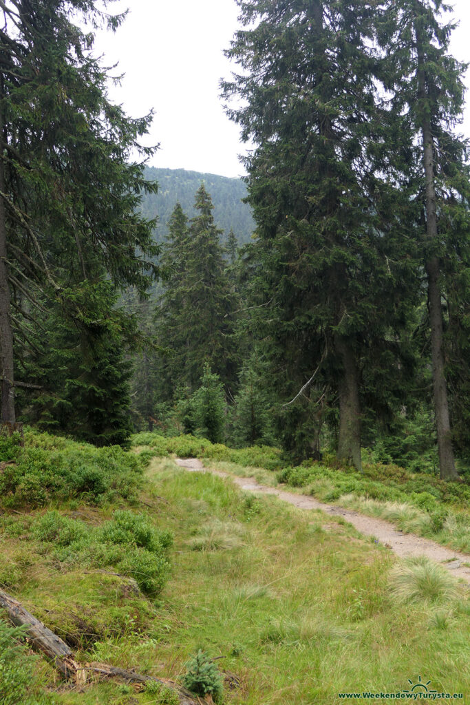 Niebieski szlak do Harrahova