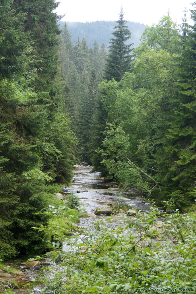 Niebieski szlak do Harrahova