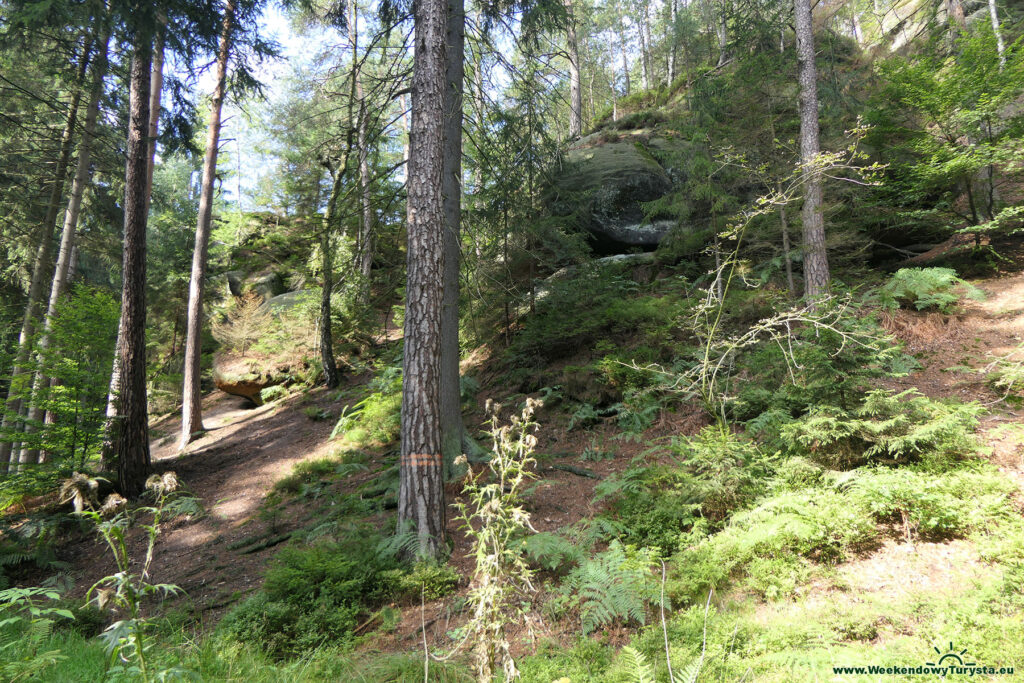 Ferrata w Jonsdorf - spacer po okolicy