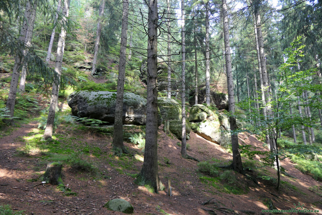 Ferrata w Jonsdorf - spacer po okolicy