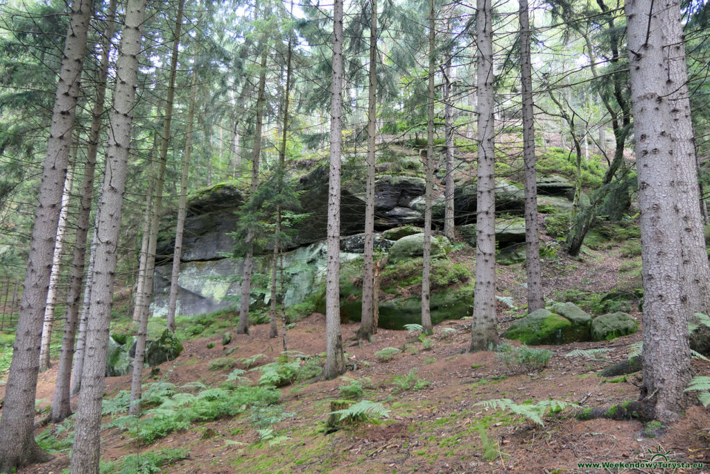 Ferrata w Jonsdorf - spacer po okolicy