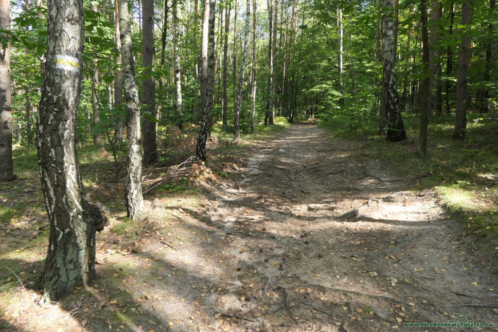 Szlak do Zamku Olsztyn