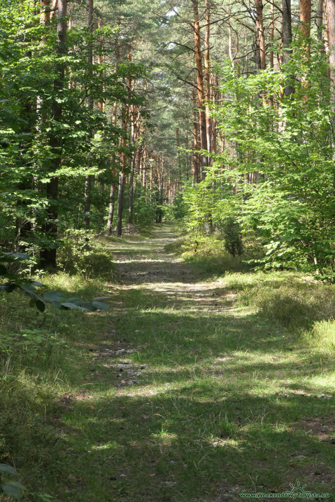 Szlak do Zamku Olsztyn