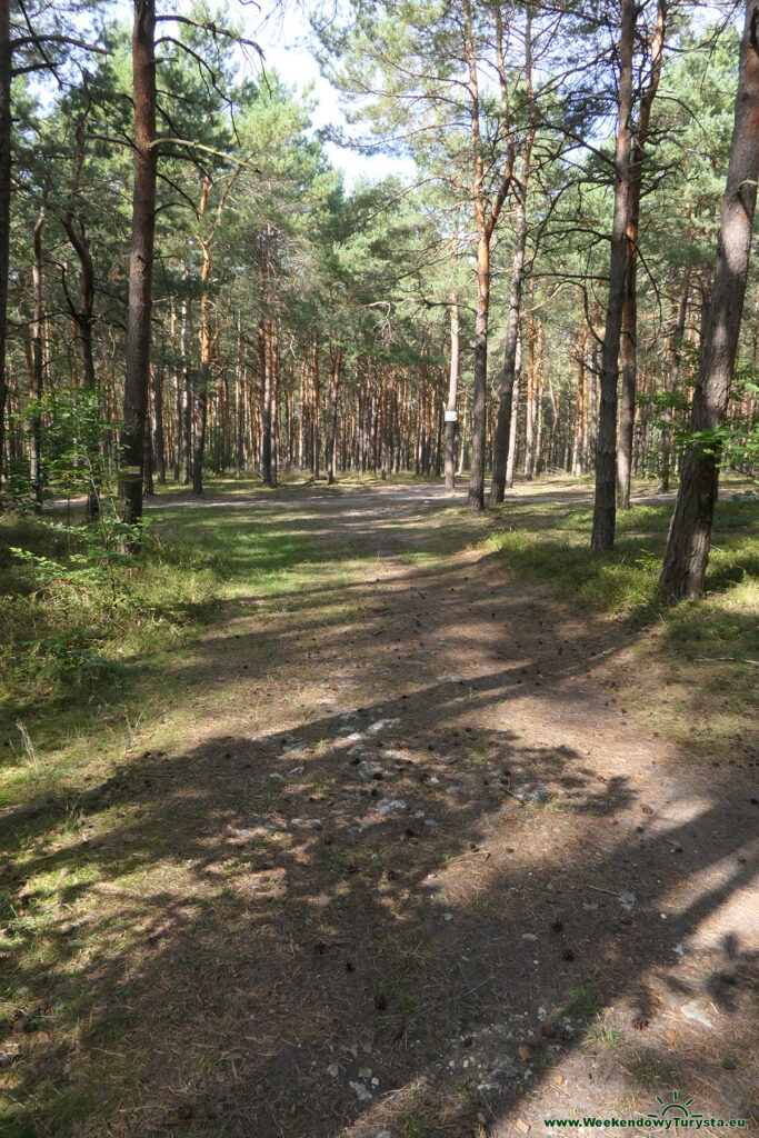 Szlak do Zamku Olsztyn