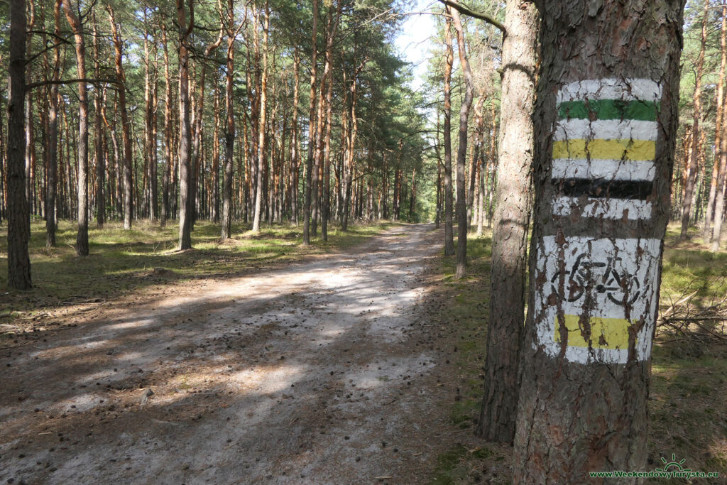 Szlak do Zamku Olsztyn