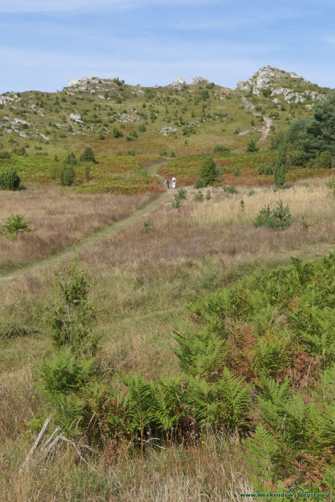 Szlak do Zamku Olsztyn