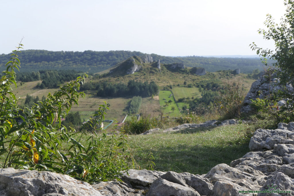 Zamek Olsztyn