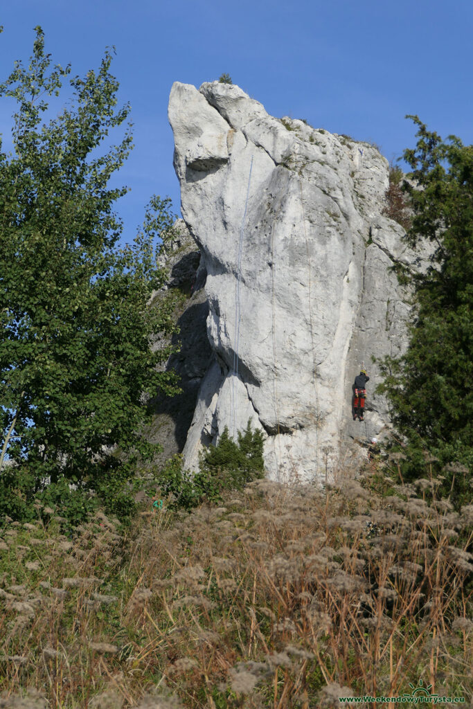 Okolice Olsztyna