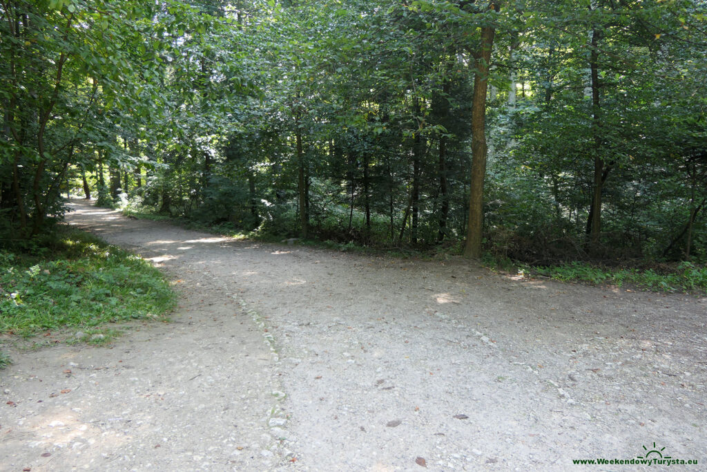 Ojcowski Park Narodowy - niebieski szlak