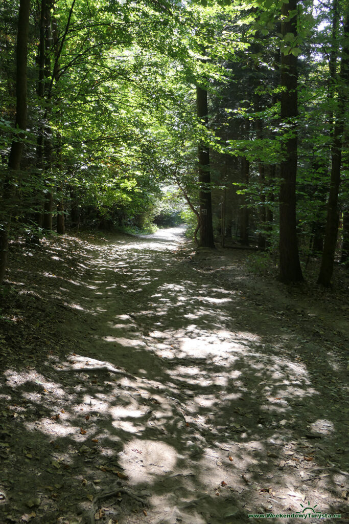 Ojcowski Park Narodowy - niebieski szlak