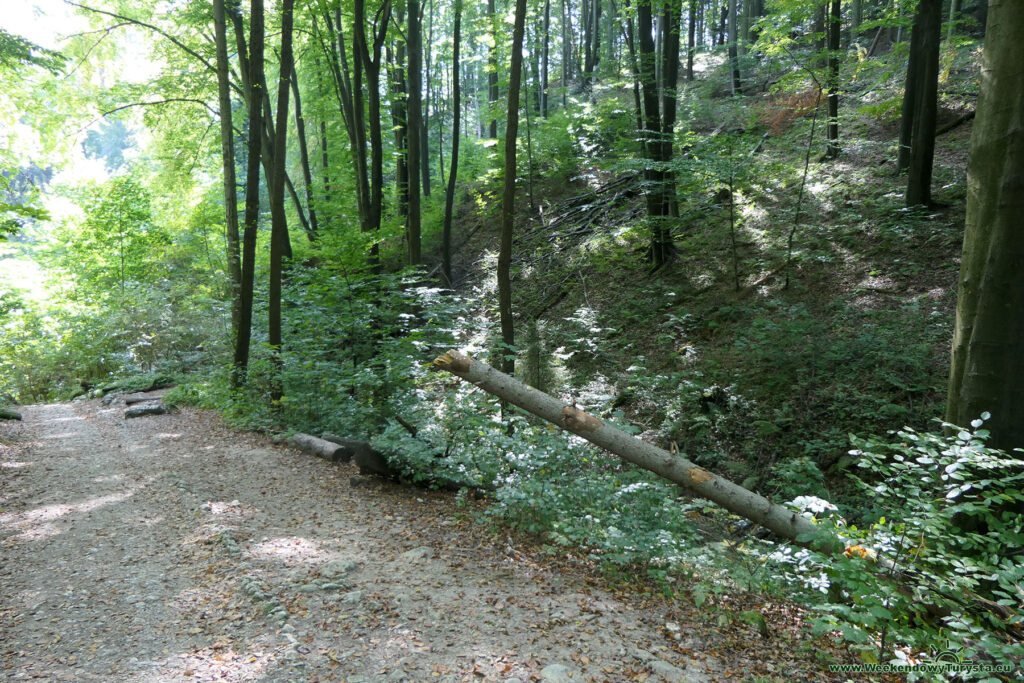 Ojcowski Park Narodowy - niebieski szlak