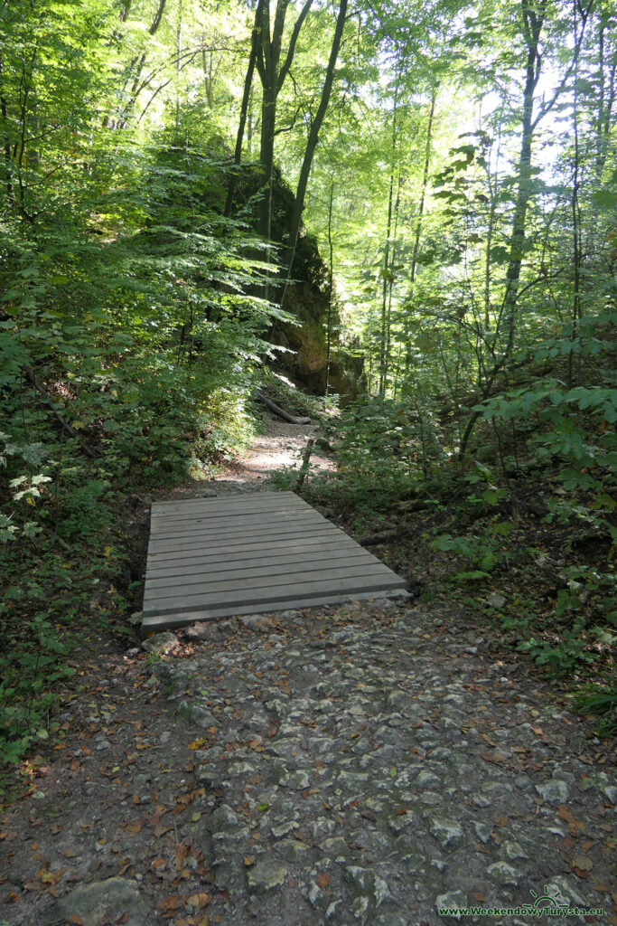 Niebieski Szlak w kierunku Bramy Krakowskiej - Ojcowski Park Narodowy