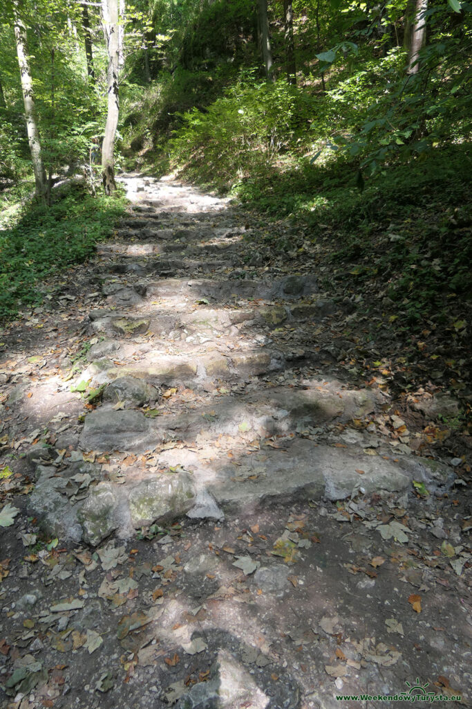 Ojcowski Park Narodowy - niebieski szlak