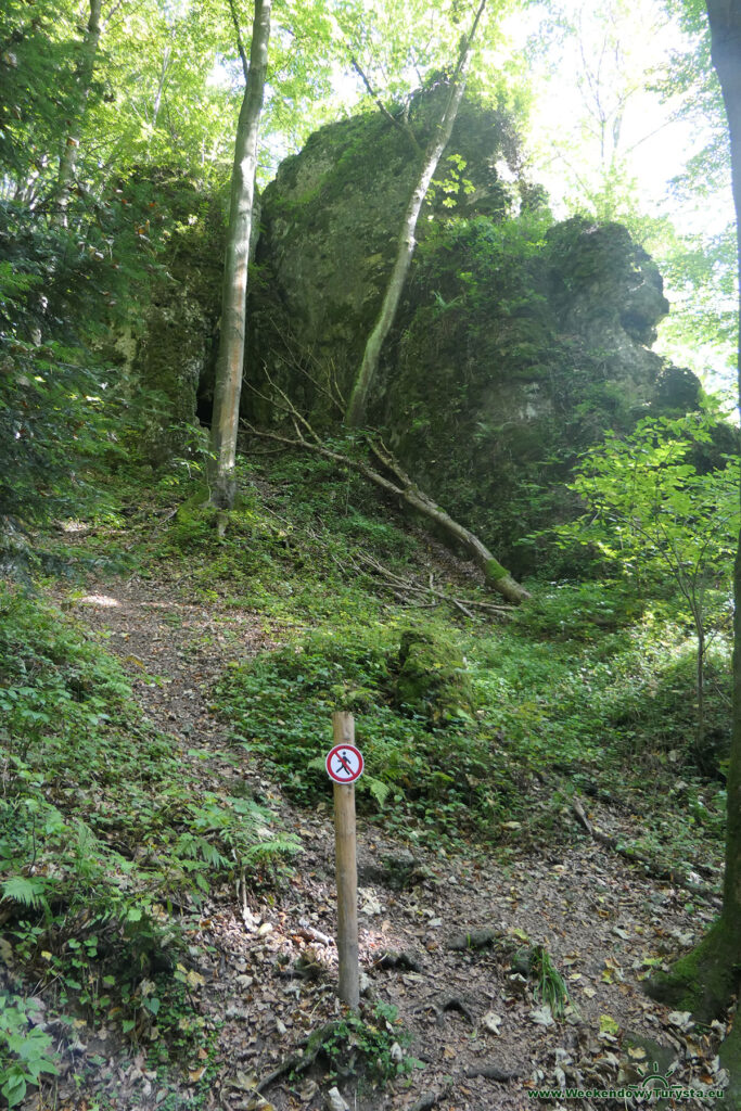 Ojcowski Park Narodowy - niebieski szlak