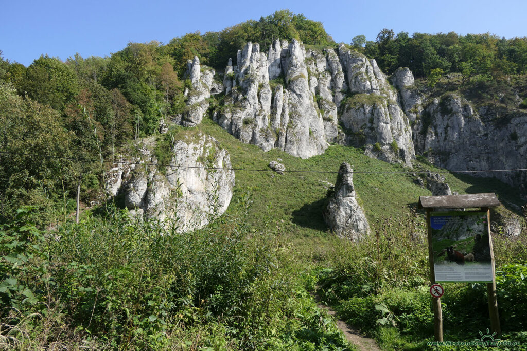 Ojcowski Park Narodowy - Dolina Prądnika