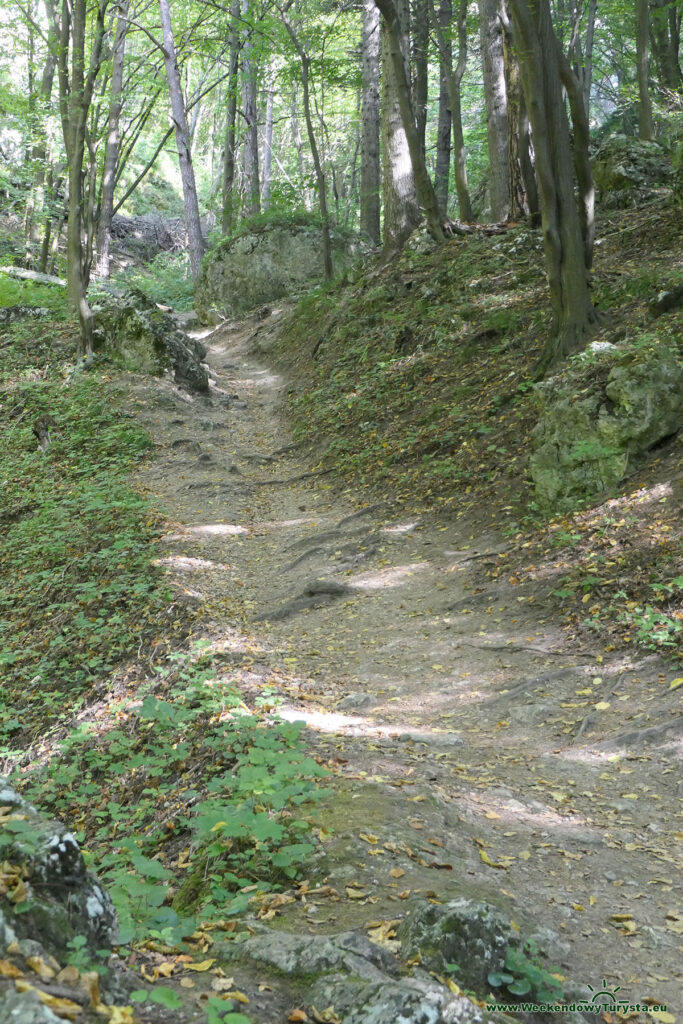 Ojcowski Park Narodowy - Dolina Prądnika - Zielony Szlak