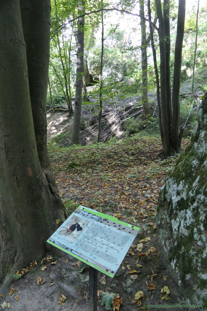 Ojcowski Park Narodowy - Dolina Prądnika - Zielony Szlak