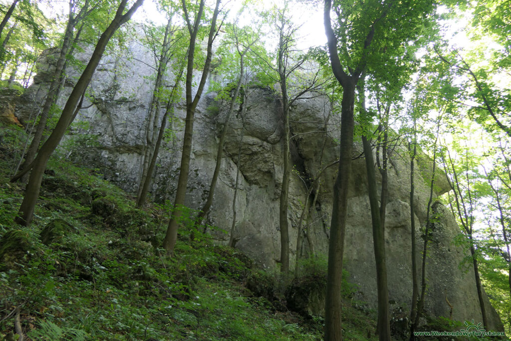 Ojcowski Park Narodowy - Dolina Prądnika - Zielony Szlak