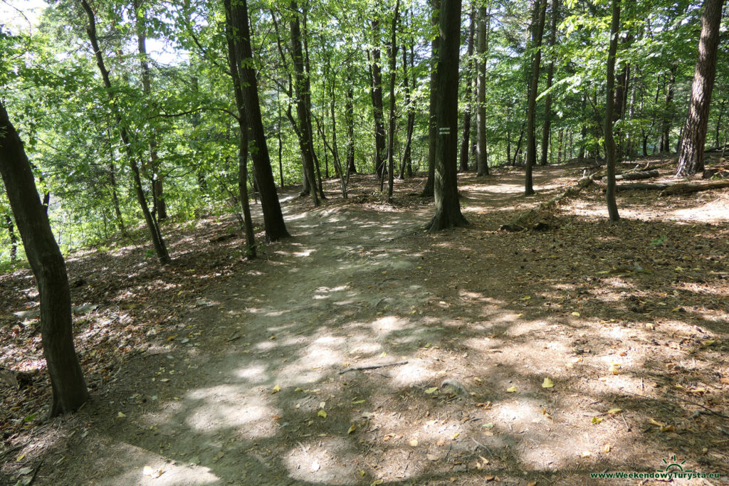 Ojcowski Park Narodowy - Dolina Prądnika - Zielony Szlak