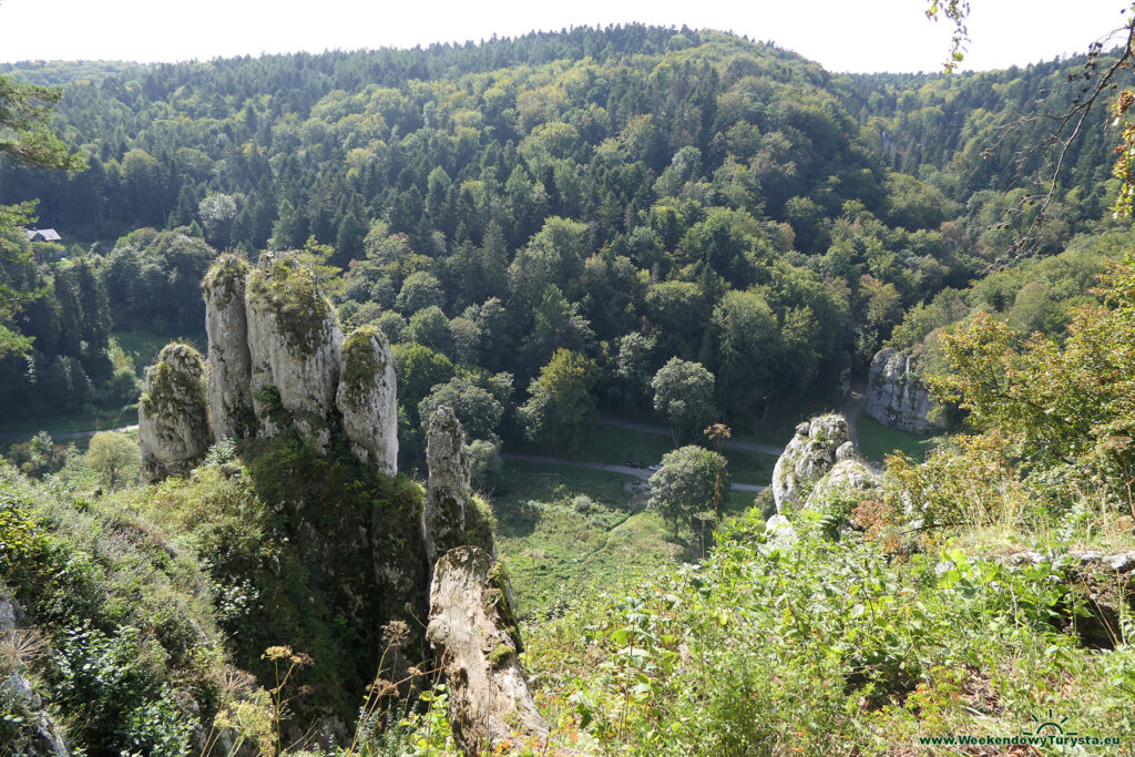 Rękawica i Brama Krakowska