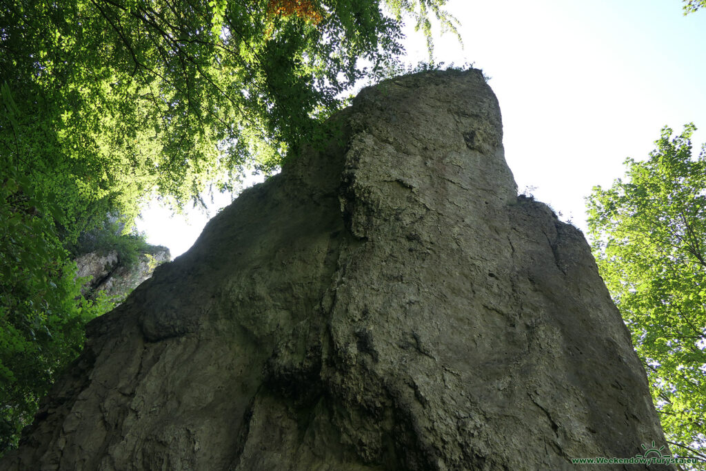 Ojcowski Park Narodowy - Zielony Szlak