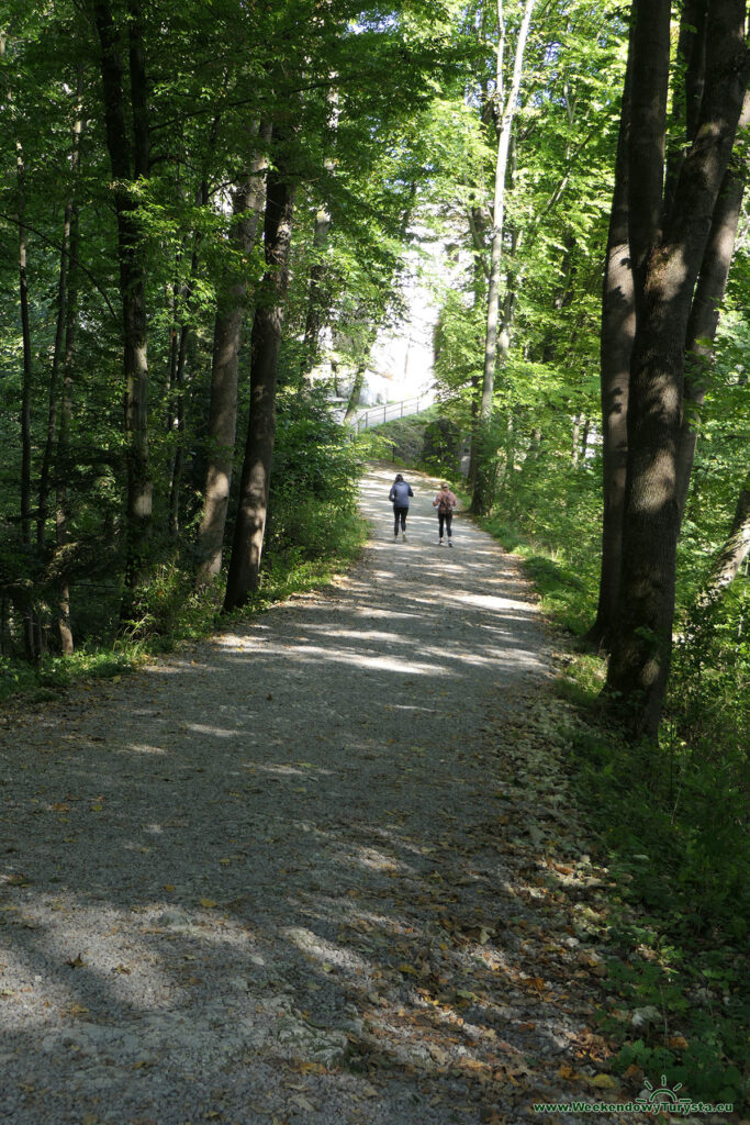 Ojcowski Park Narodowy - Zamek w Ojcowie