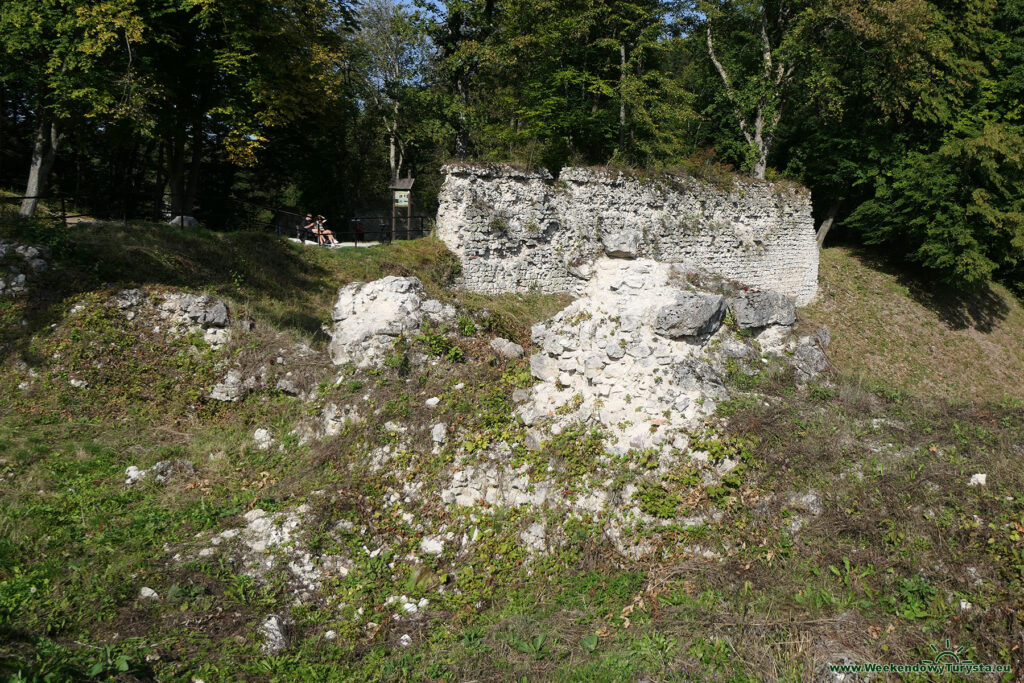 Ojcowski Park Narodowy - Zamek w Ojcowie