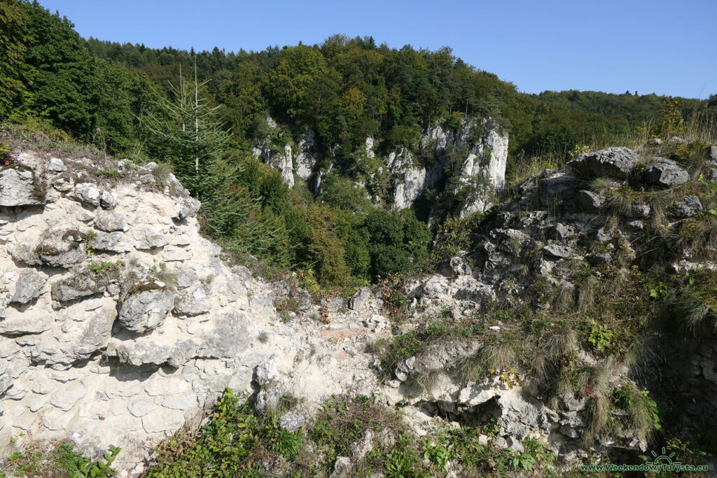 Ojcowski Park Narodowy - Zamek w Ojcowie