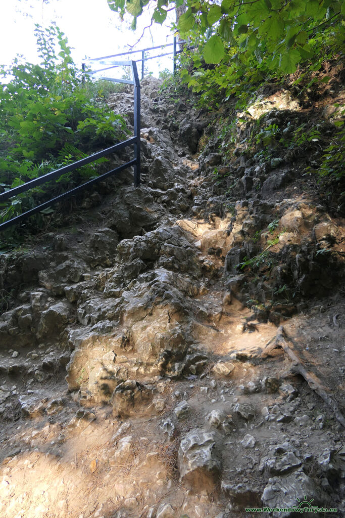 Ojcowski Park Narodowy - Szlak Groty Łokietka