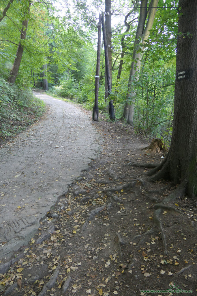 Ojcowski Park Narodowy - Szlak Groty Łokietka