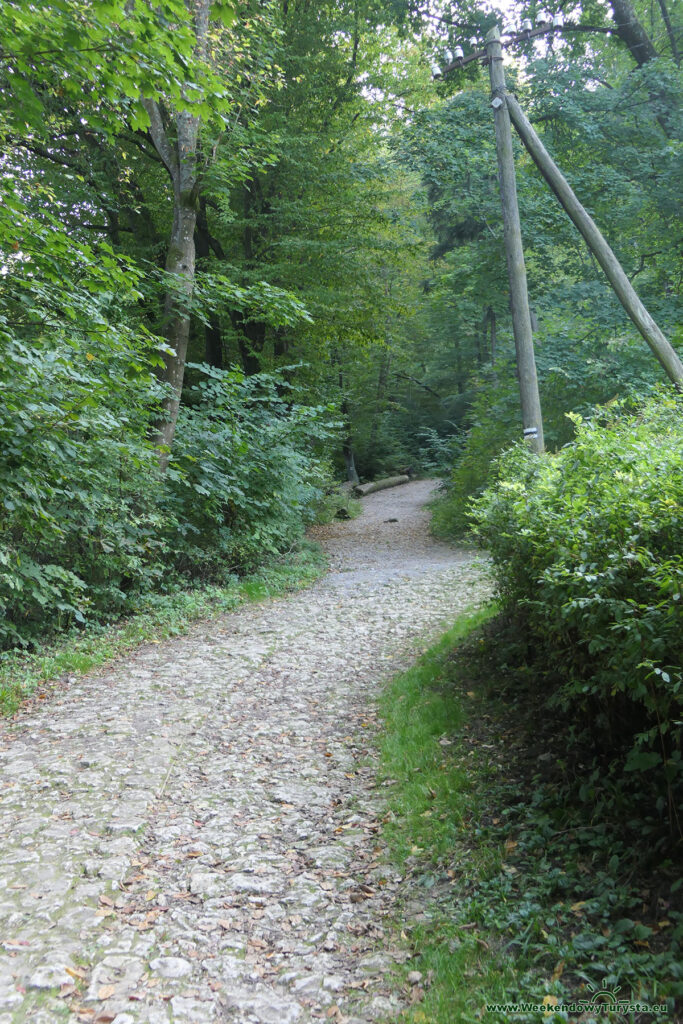 Ojcowski Park Narodowy - Szlak Groty Łokietka