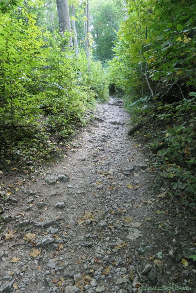 Ojcowski Park Narodowy - Szlak Groty Łokietka