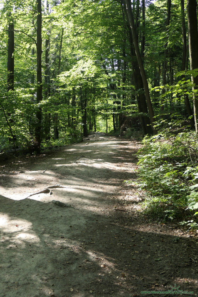 Ojcowski Park Narodowy - Szlak Groty Łokietka