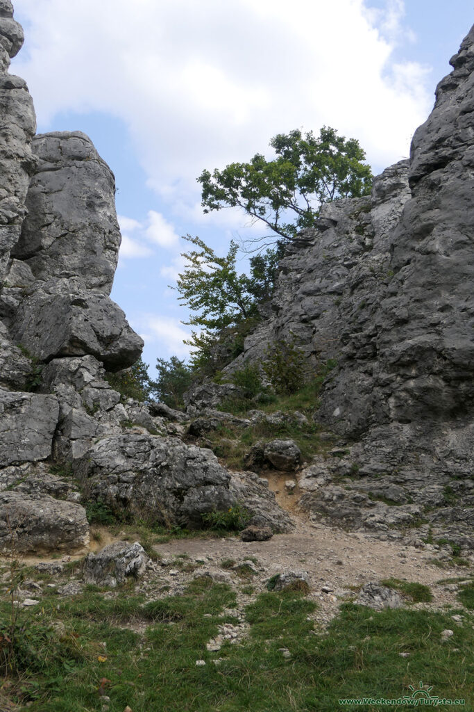 Góra Zborów - ostańce na szczycie