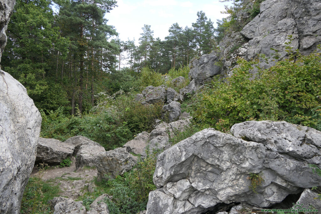 Góra Zborów - ostańce na szczycie