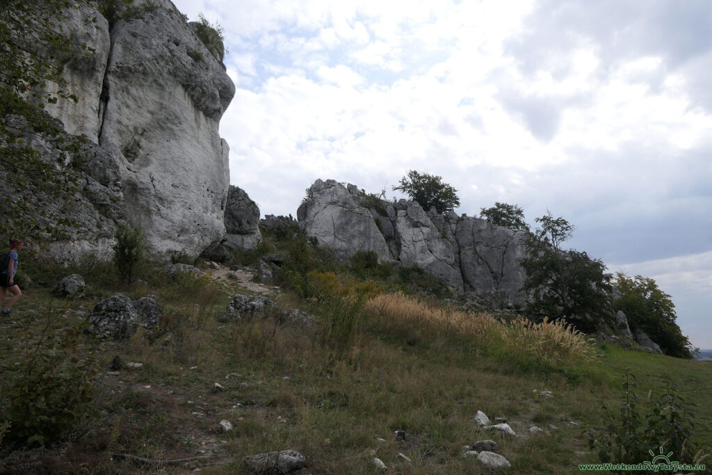 Góra Zborów - ostańce na szczycie