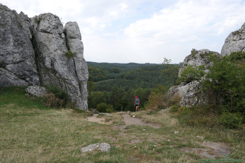 Góra Zborów - widok