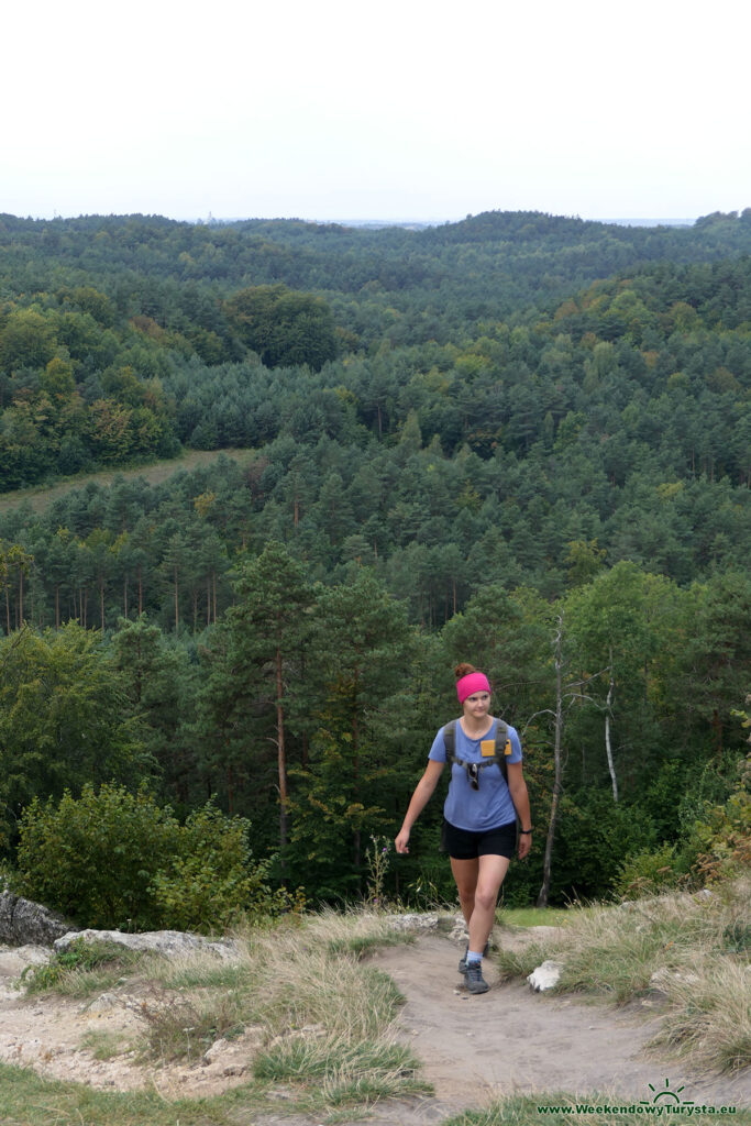 Góra Zborów - widok ze szczytu