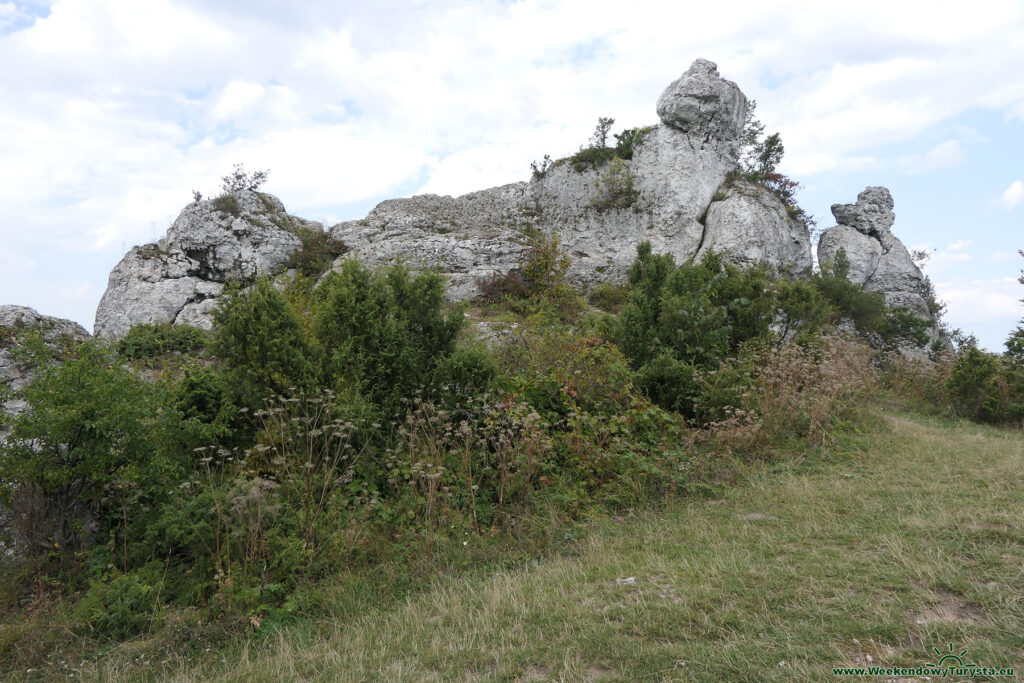 Góra Zborów - widok ze szczytu