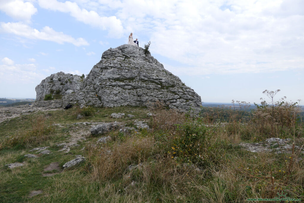 Góra Zborów - widok ze szczytu