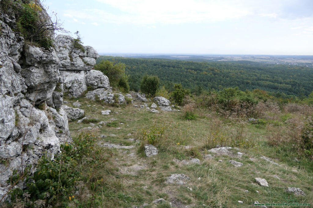 Góra Zborów - widok ze szczytu