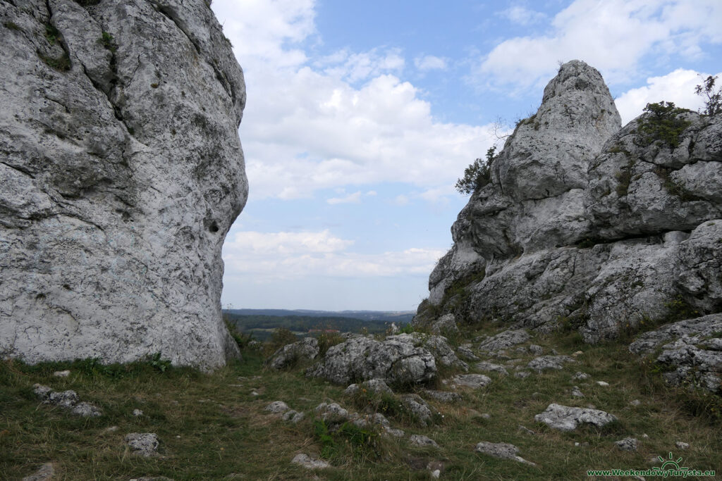 Góra Zborów - widok ze szczytu