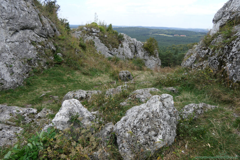 Góra Zborów - widok ze szczytu