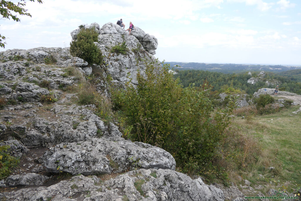 Góra Zborów - widok ze szczytu