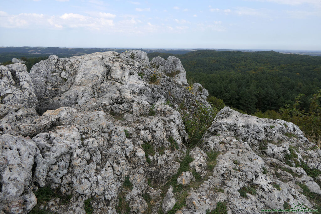 Góra Zborów - widok ze szczytu