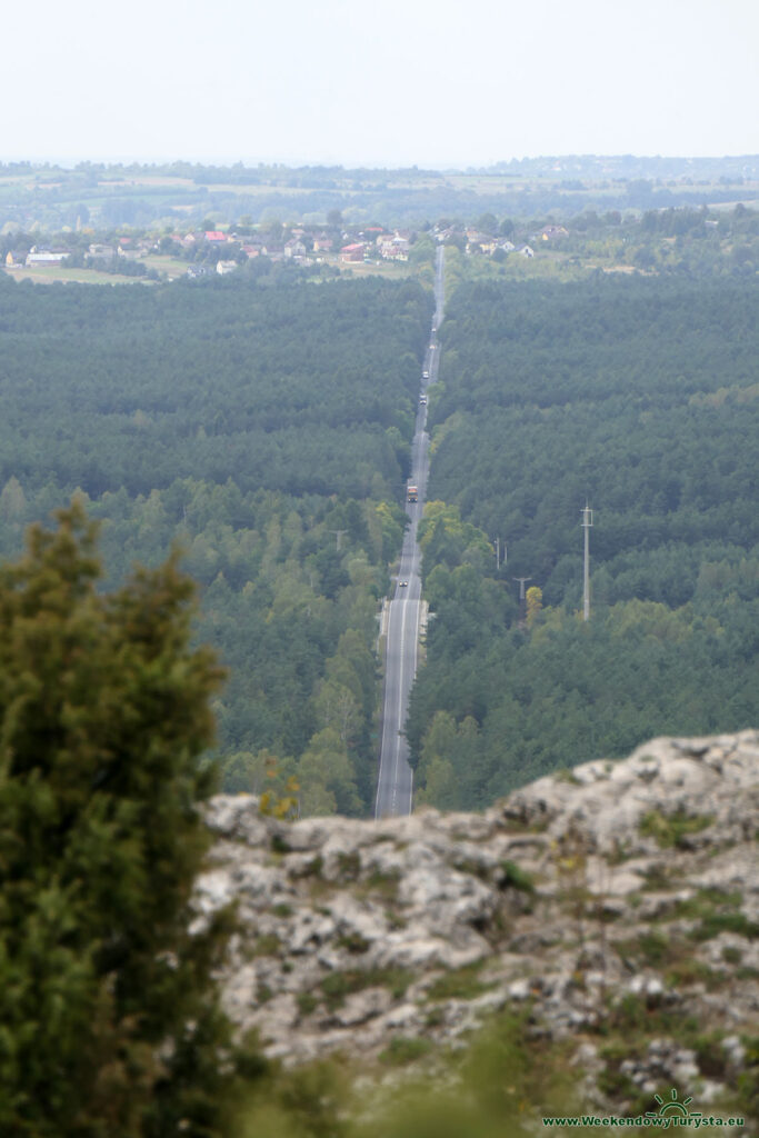 Góra Zborów - widok ze szczytu