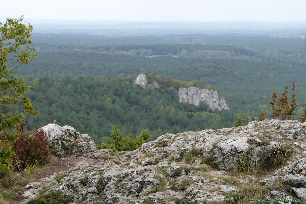 Góra Zborów - widok ze szczytu