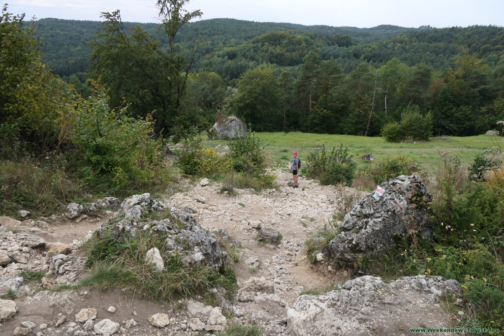 Góra Zborów - widok ze szczytu